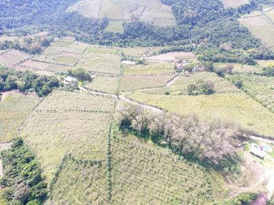 Sítio, 1200 hectares - Foto 4
