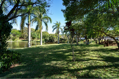 Terreno - Foto 5