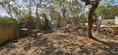 Terreno, 728 m² - Foto 4