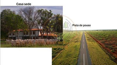 Fazenda, 1 quarto - Foto 5