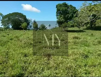 Terreno, 45 m² - Foto 5