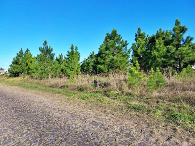 Terreno, 300 m² - Foto 2