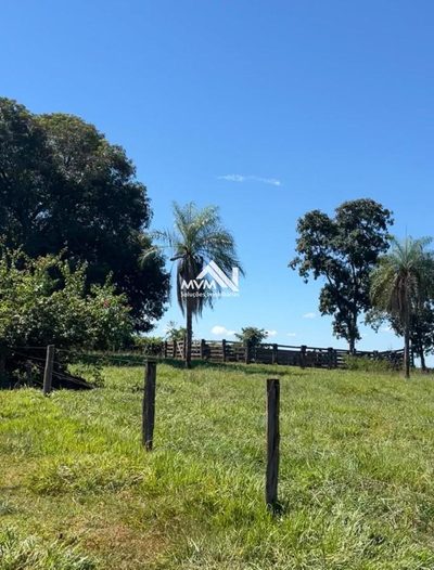 Chácara, 3 quartos, 22 hectares - Foto 2