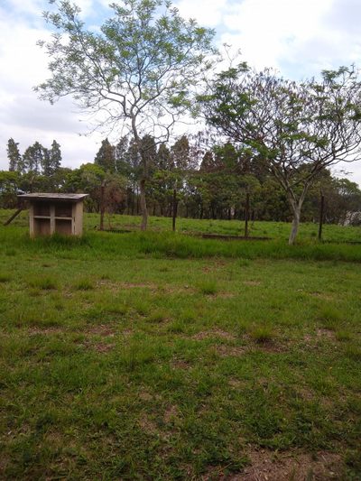 Terreno, 5 hectares - Foto 3