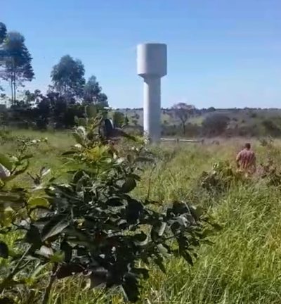 Fazenda, 218 hectares - Foto 4