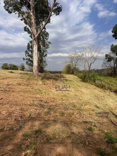 Loteamento e Condomínio, 2 hectares - Foto 3