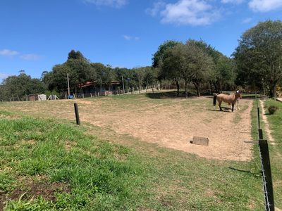 Chácara, 2 quartos, 4770 m² - Foto 4