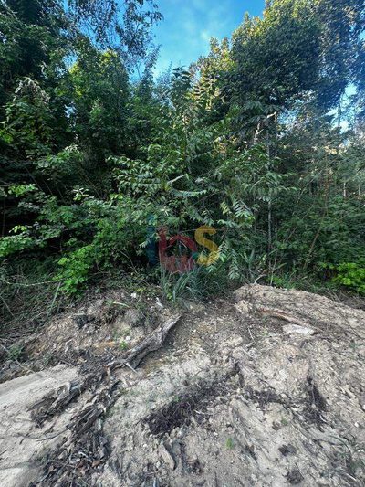 Terreno, 372 m² - Foto 2
