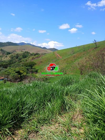 Terreno, 2 hectares - Foto 4
