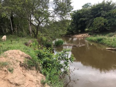 Terreno, 3 hectares - Foto 3