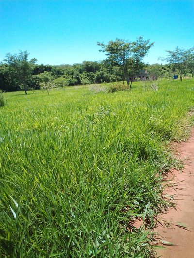Terreno, 500 m² - Foto 1