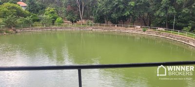 Sítio, 5 quartos, 3 hectares - Foto 4