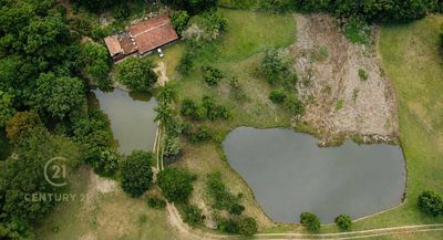 Sítio, 3 quartos, 5 hectares - Foto 4