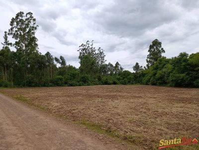 Sítio, 3 quartos, 3 hectares - Foto 4