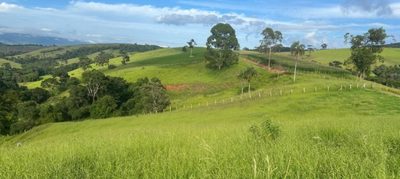 Chácara, 1 quarto, 242 hectares - Foto 4