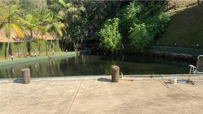 Sítio, 4 quartos, 2 hectares - Foto 4