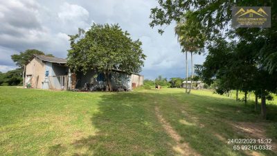 Fazenda - Foto 4