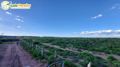 Terreno, 6500 hectares - Foto 3