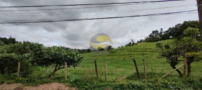 Terreno, 3 hectares - Foto 2