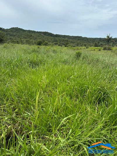 Terreno, 1774 hectares - Foto 2