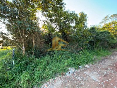 Terreno, 360 m² - Foto 3