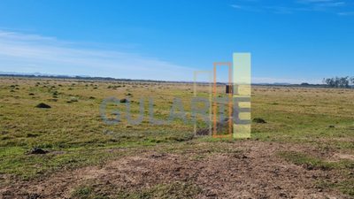 Terreno, 208 hectares - Foto 2