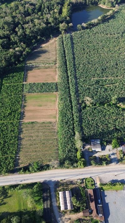 Terreno, 3 hectares - Foto 1