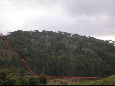 Terreno, 8 hectares - Foto 2