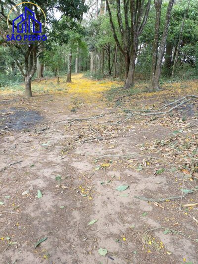 Terreno, 2 hectares - Foto 4
