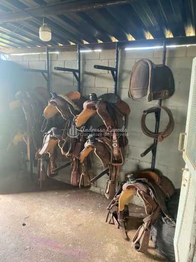 Chácara, 3 quartos, 24 hectares - Foto 3