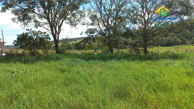Fazenda, 3 quartos - Foto 5