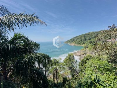 Casa, 4 quartos, 356 m² - Foto 2