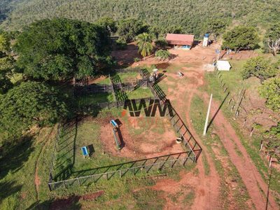 Fazenda, 513 hectares - Foto 1