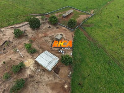 Fazenda, 122 hectares - Foto 4