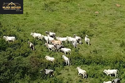 Fazenda, 140 m² - Foto 4