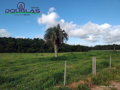 Terreno, 2 hectares - Foto 3