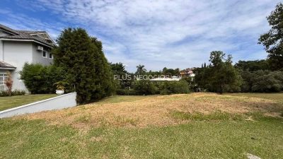 Terreno, 3000 m² - Foto 5