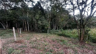 Terreno, 386 m² - Foto 3
