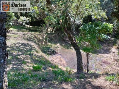 Chácara, 3 quartos, 1 hectares - Foto 4