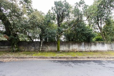 Terreno, 301 m² - Foto 1