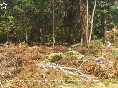 Terreno, 1000 m² - Foto 2