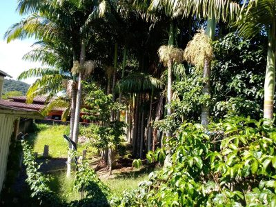Casa, 3 quartos, 1152 m² - Foto 5