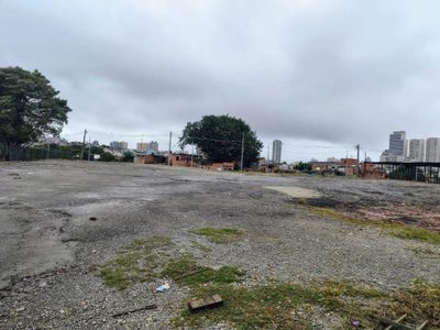 Terreno, 4249 m² - Foto 4