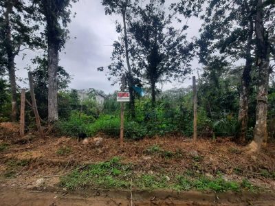 Terreno, 305 m² - Foto 2
