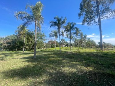 Terreno, 2 hectares - Foto 1