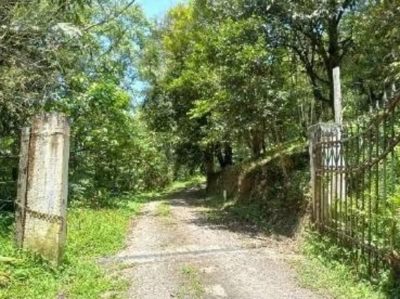 Terreno, 4230 m² - Foto 3