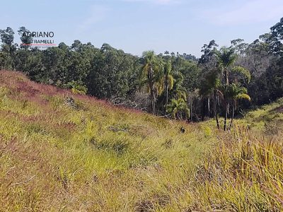 Terreno, 2 hectares - Foto 2