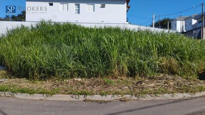 Terreno, 304 m² - Foto 3