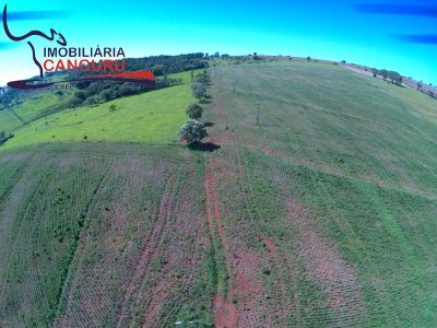 Terreno, 8 hectares - Foto 3