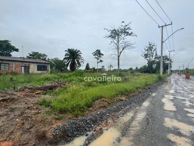 Terreno, 30 hectares - Foto 4